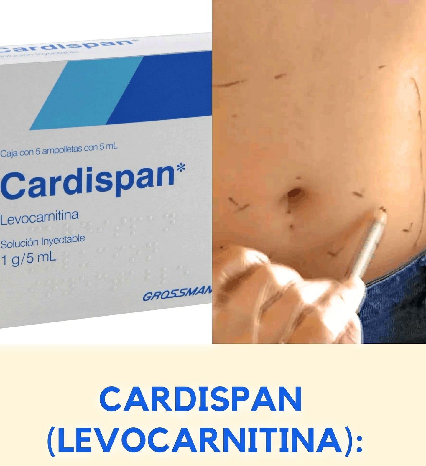 Cardispan Mesotherapy Fat Burning L-Carnitine Complete at home Kit